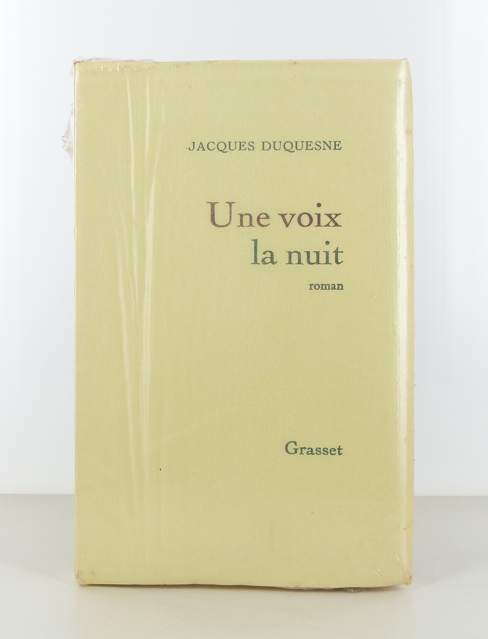 Une voix la nuit