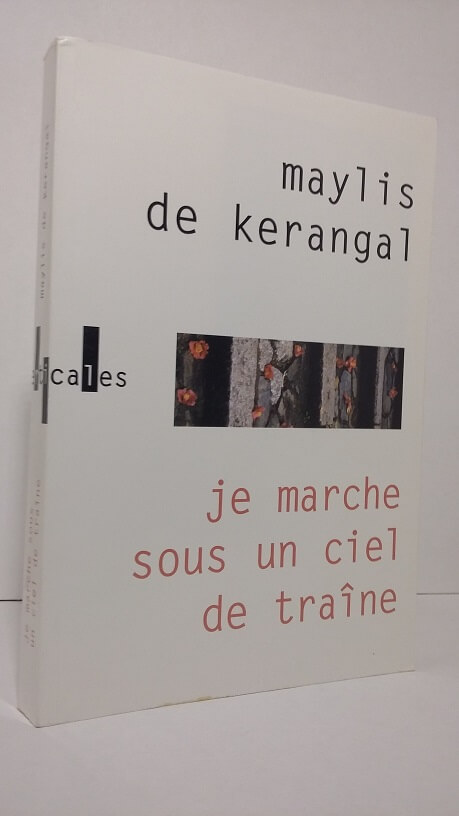 je marche sous un ciel de traîne