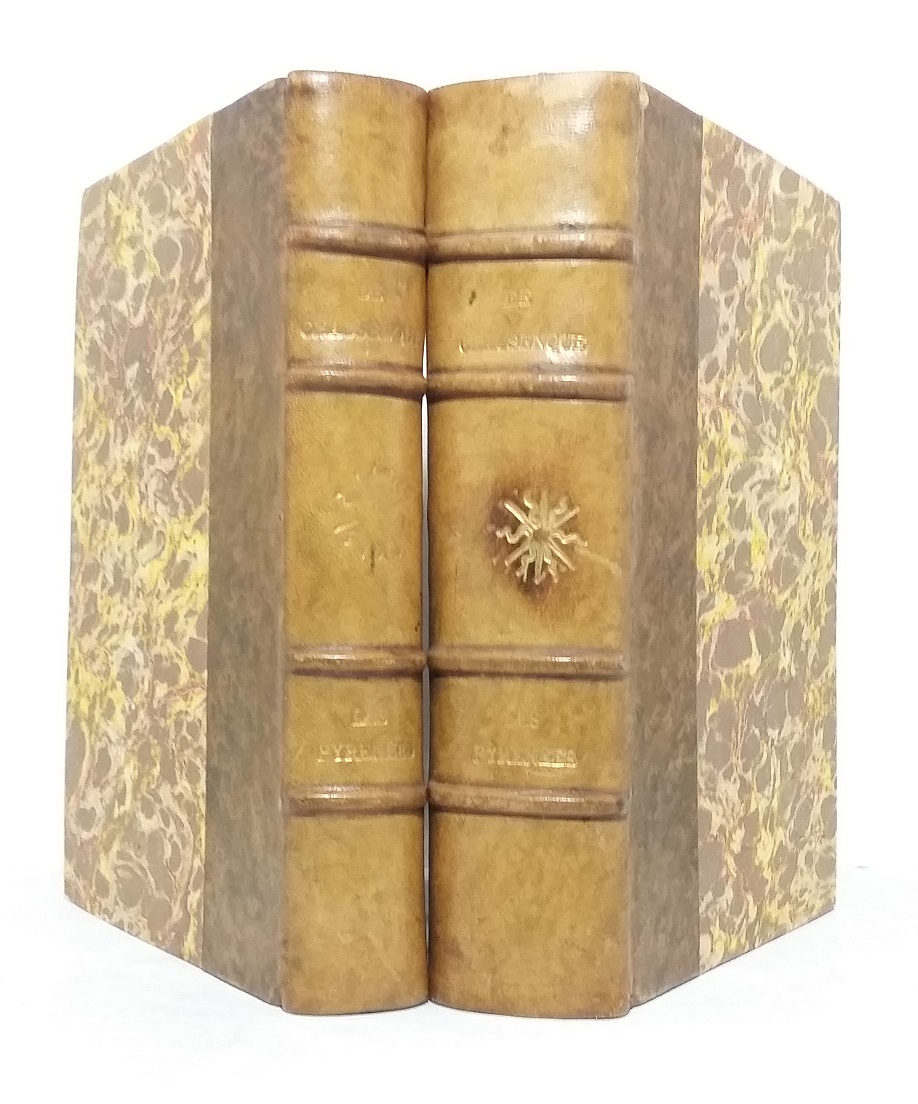 Les Pyrénées ou Voyages pédestres dans toutes les régions de ces montagnes depuis l'Océan jusqu'à la Méditerranée, avec une carte et quelques vues des Pyrénées