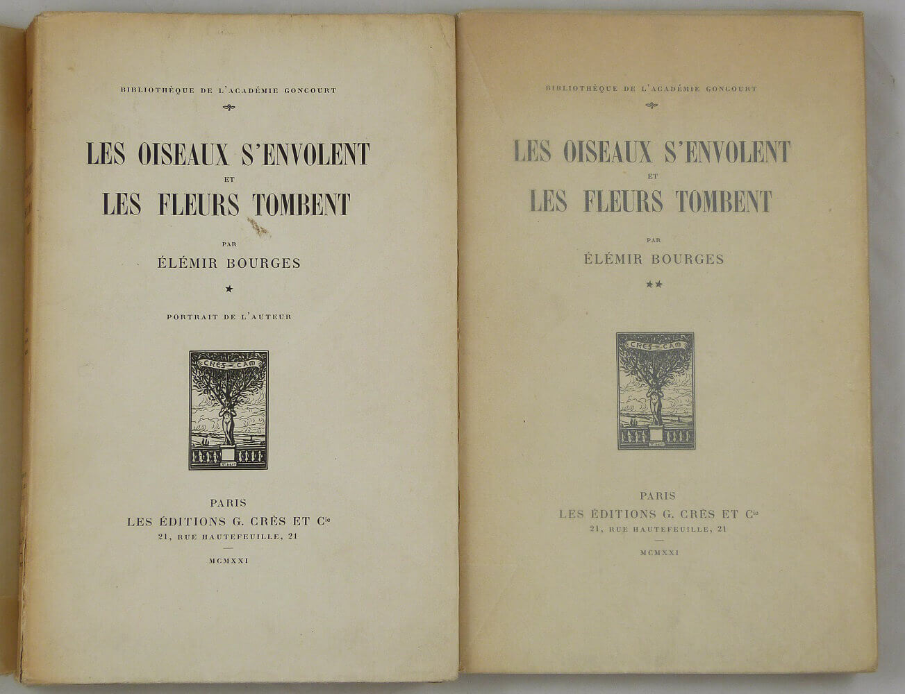Les oiseaux s'envolent et les fleurs tombent