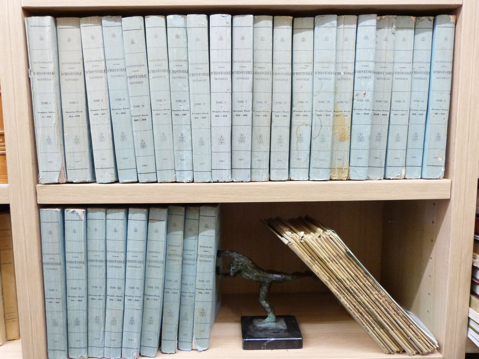 Dictionnaire universel d'histoire naturelle