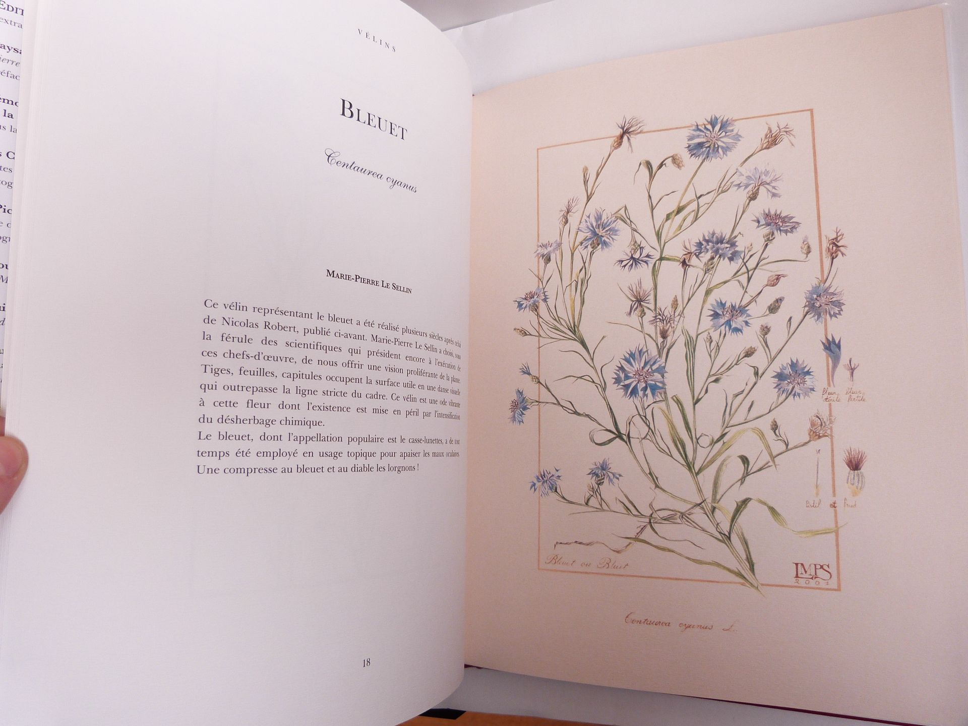 Les vélins. La science et la beauté.