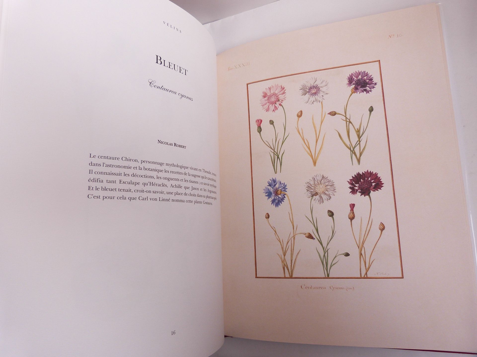 Les vélins. La science et la beauté.