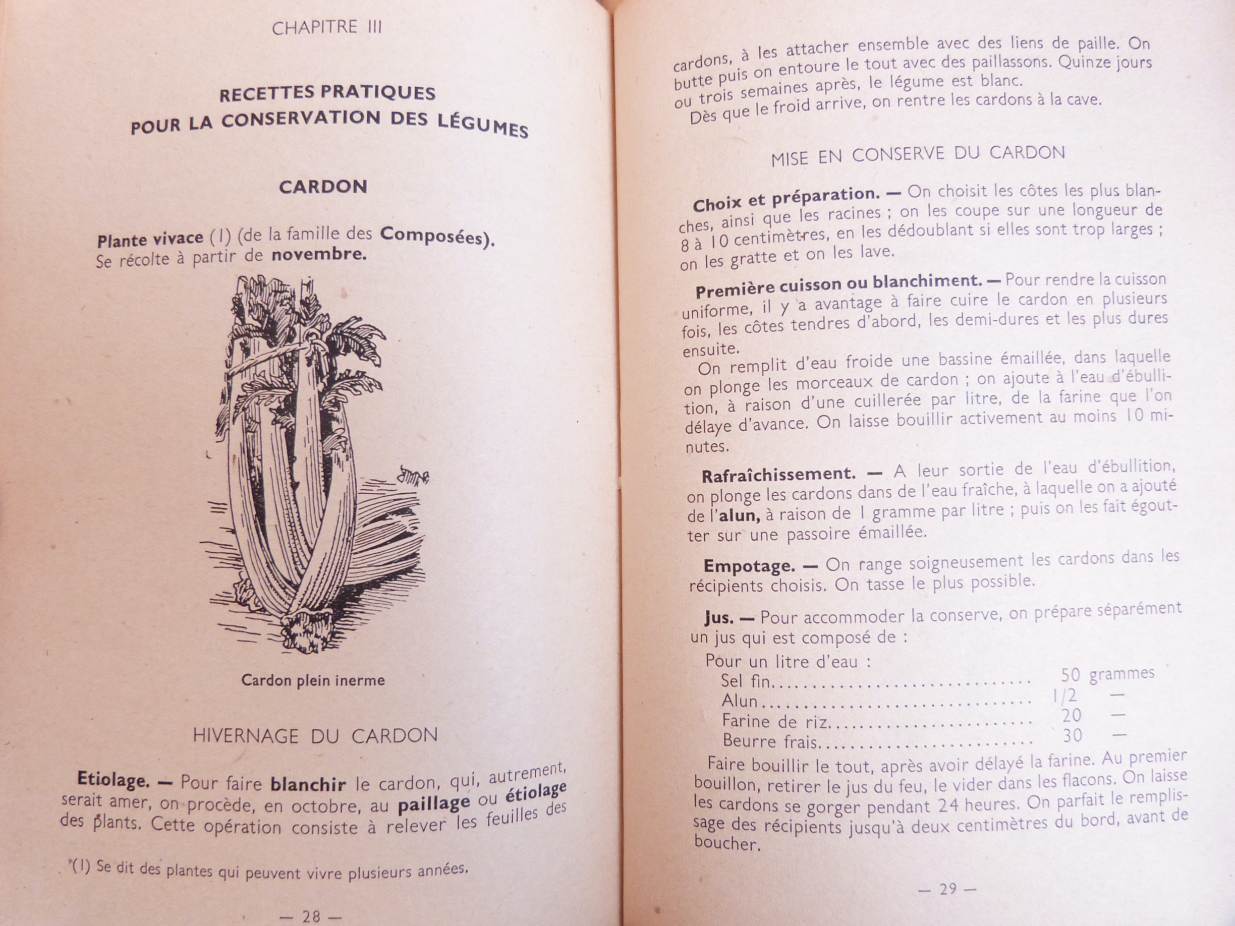 Conserves ménagères de légumes et oeufs