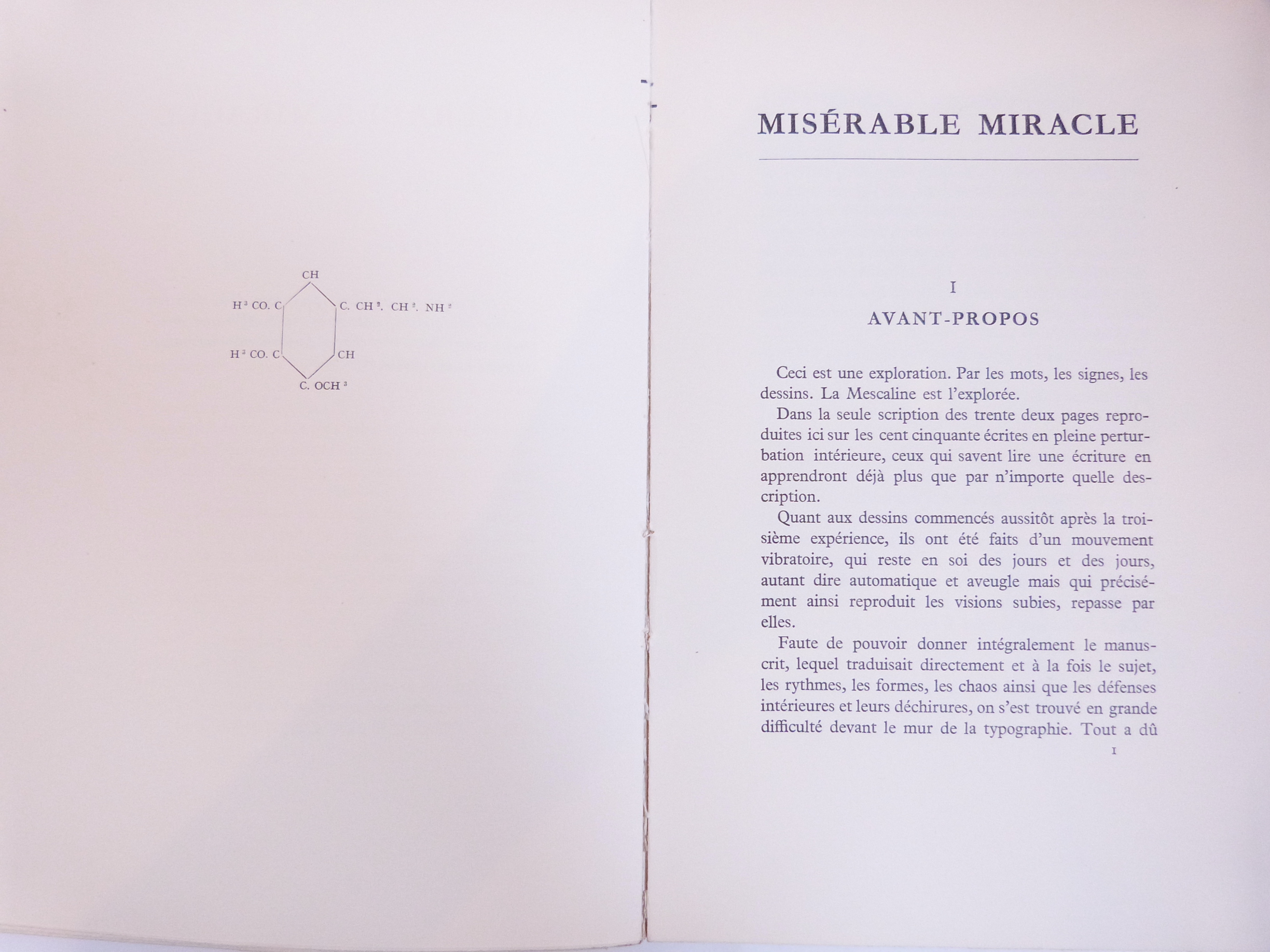 Misérable miracle (La Mescaline)