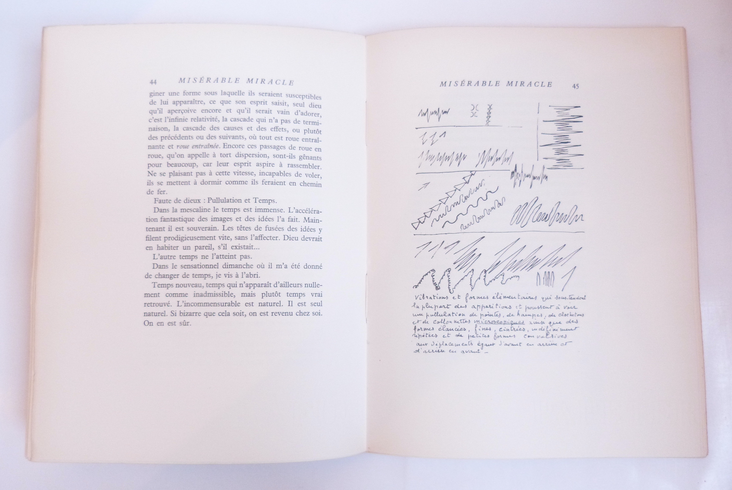 Misérable miracle (La Mescaline)