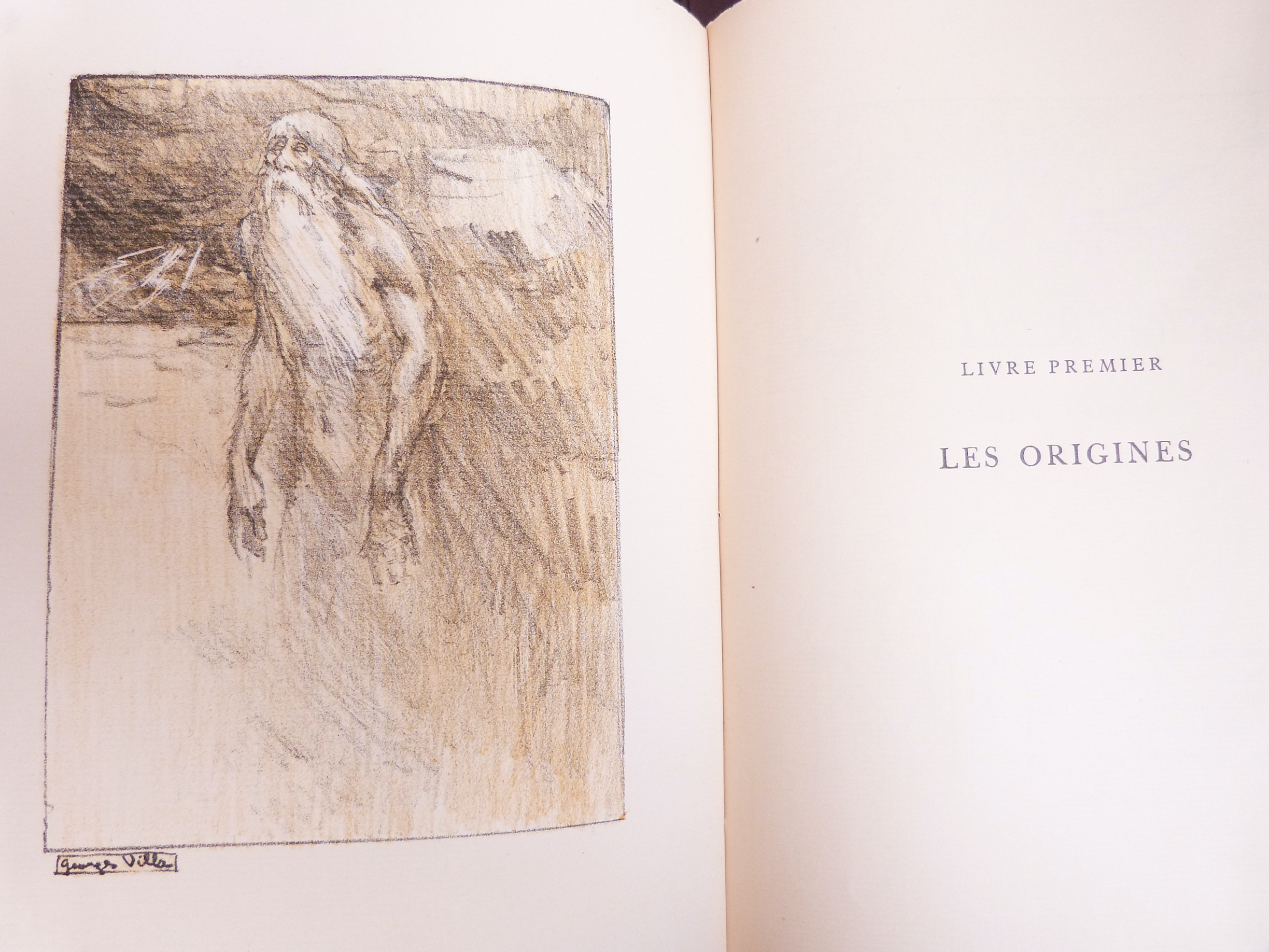 L'île des Pingouins