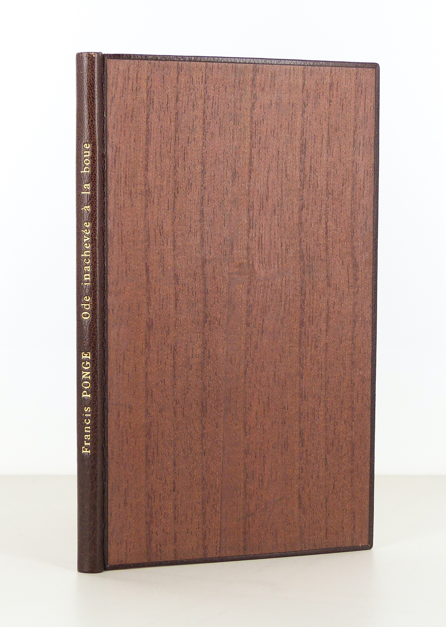 Ode inachevée à la boue