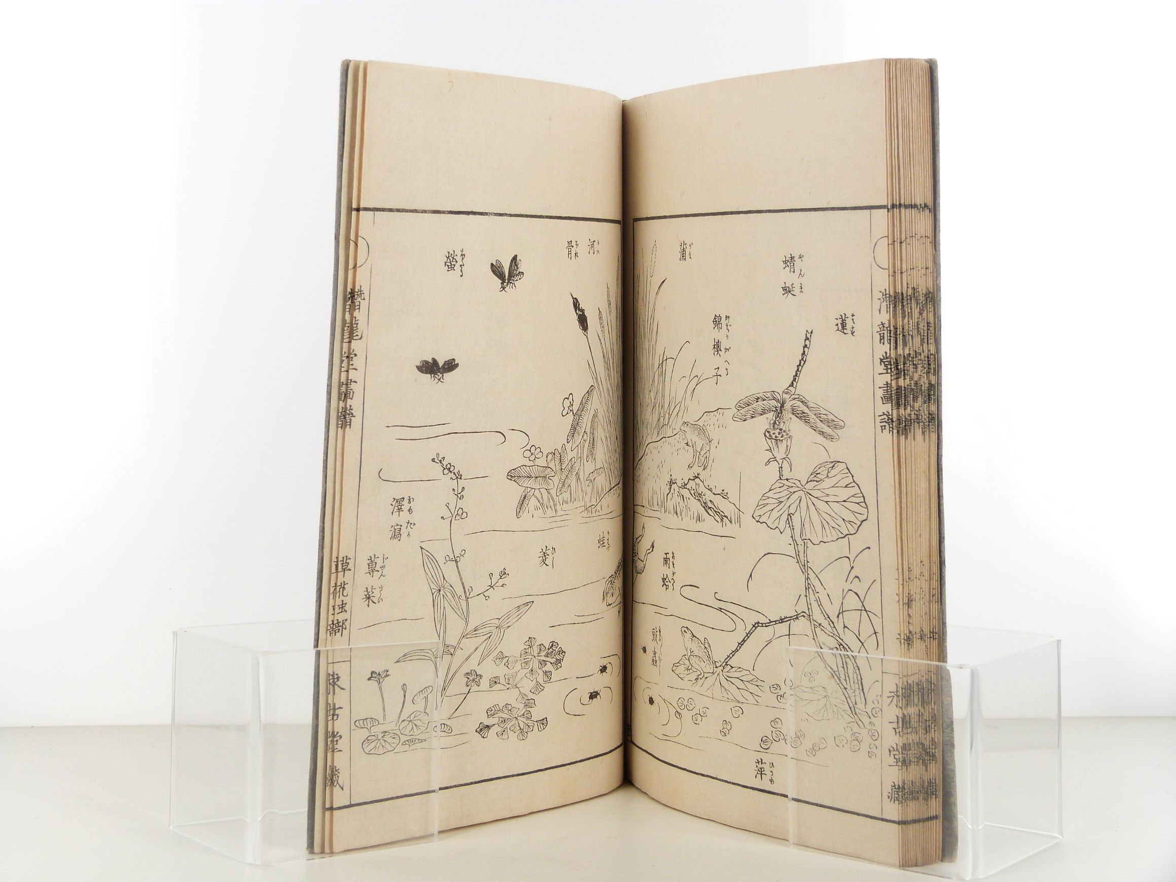 Senryudo gafu de Kiyoshi Takizawa - Estampes Edo