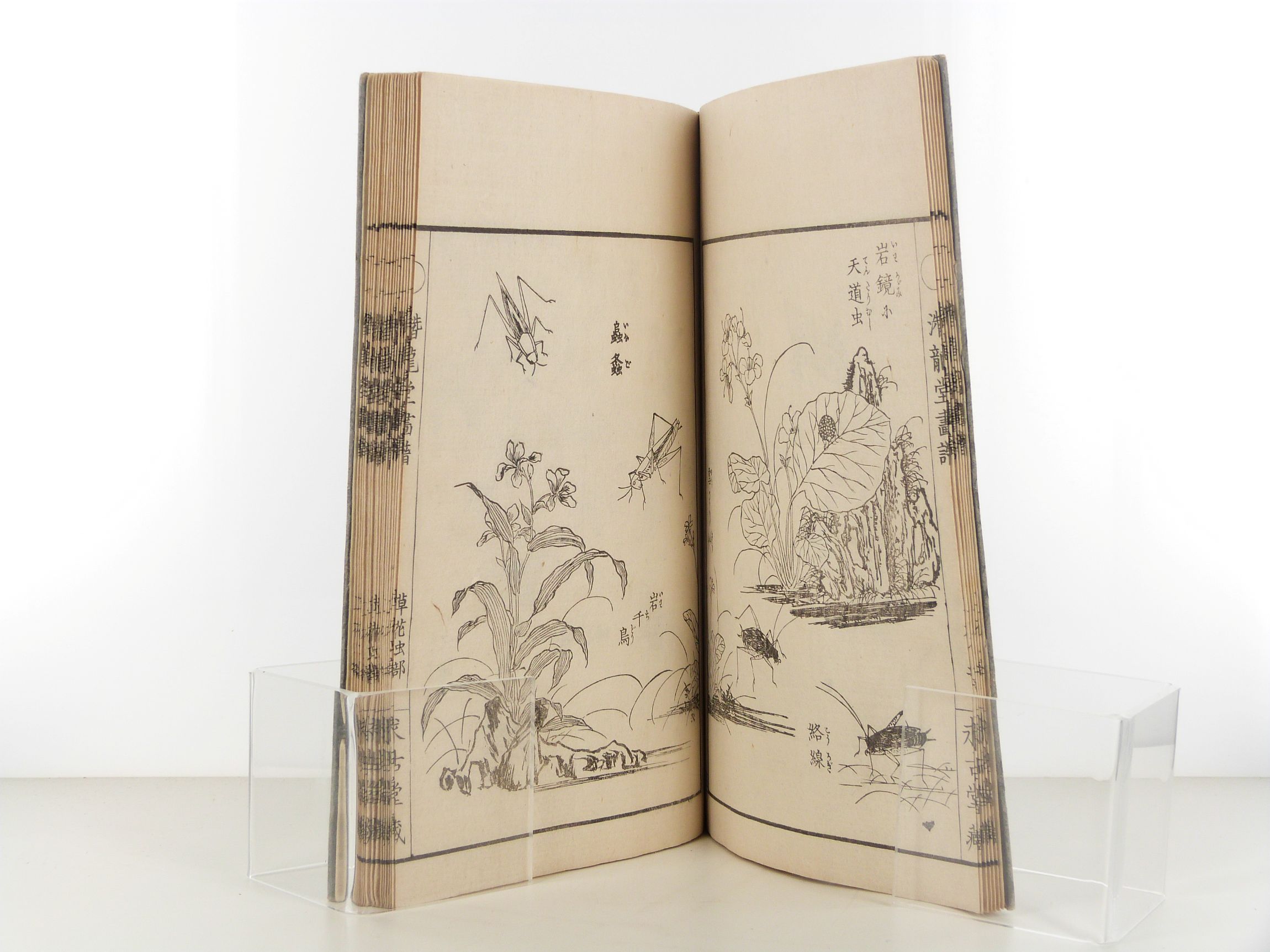 Senryudo gafu de Kiyoshi Takizawa - Estampes Edo