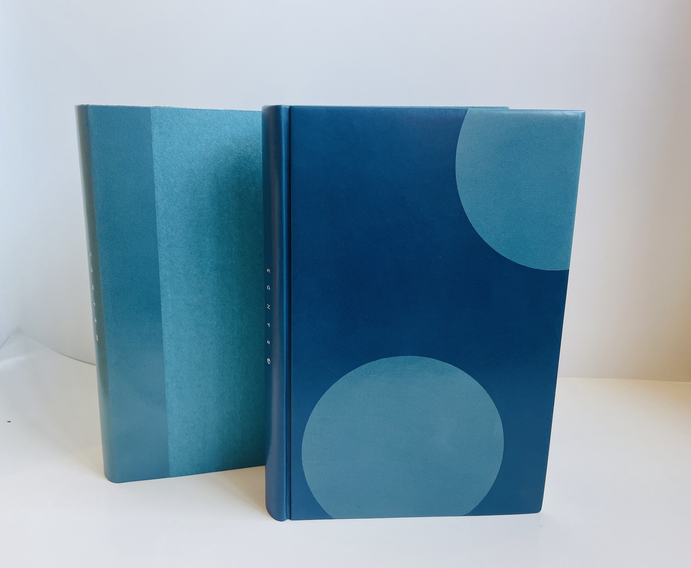 La Cour des Grands, Michel Déon