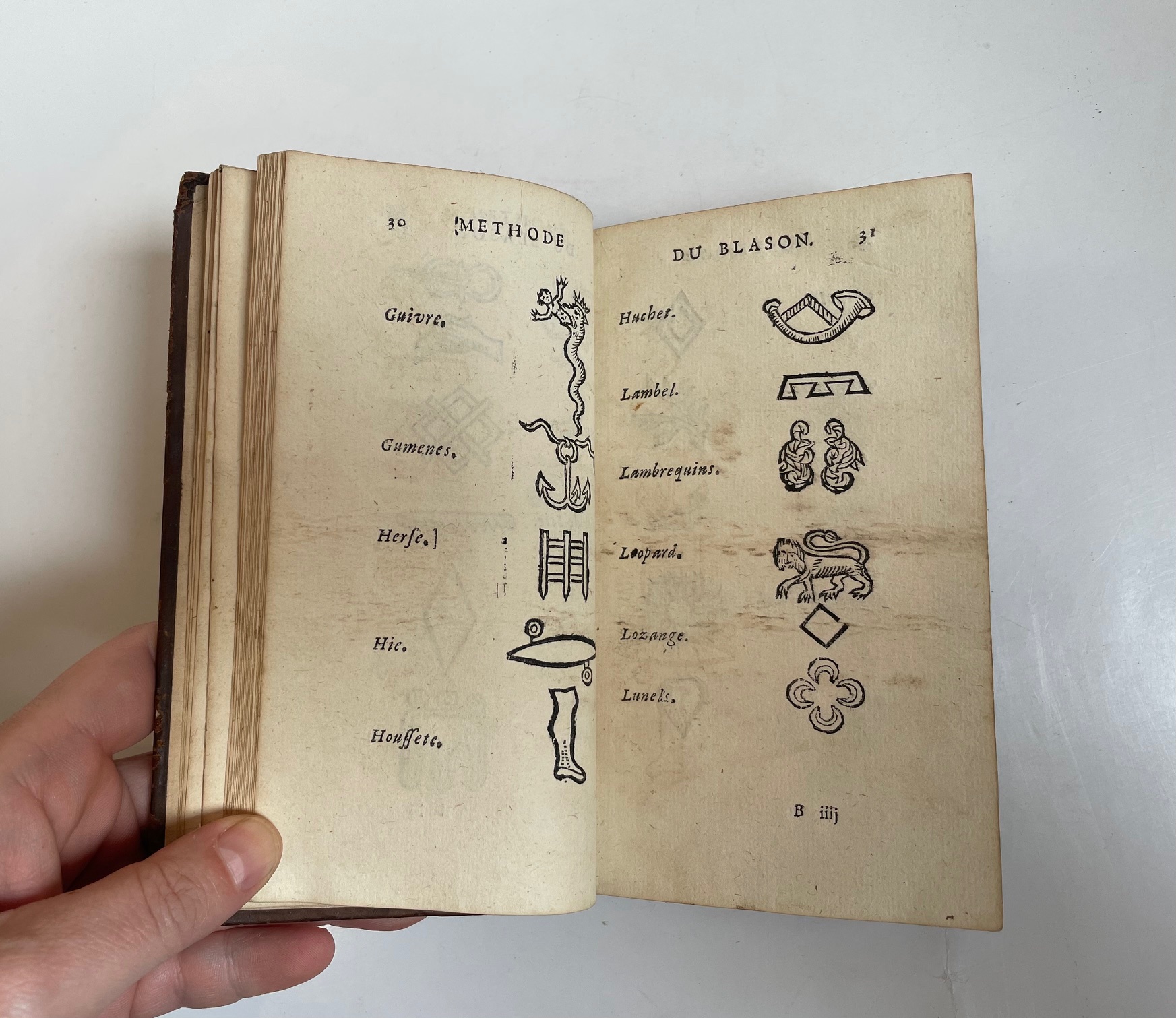 La nouvelle méthode raisonnée du blason pour l'apprendre d'une manière aisée