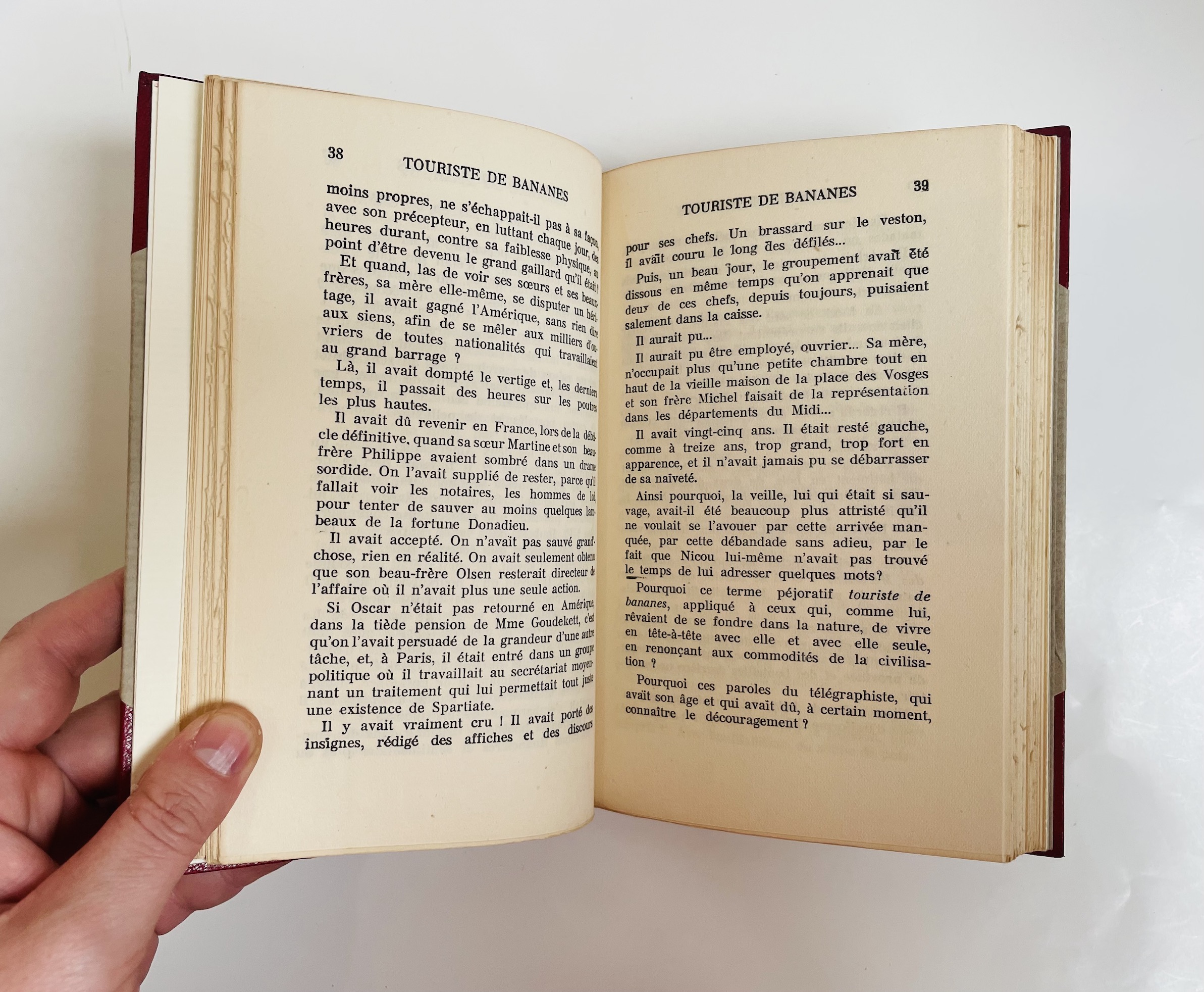 Touriste de Bananes ou les dimanches de Tahiti