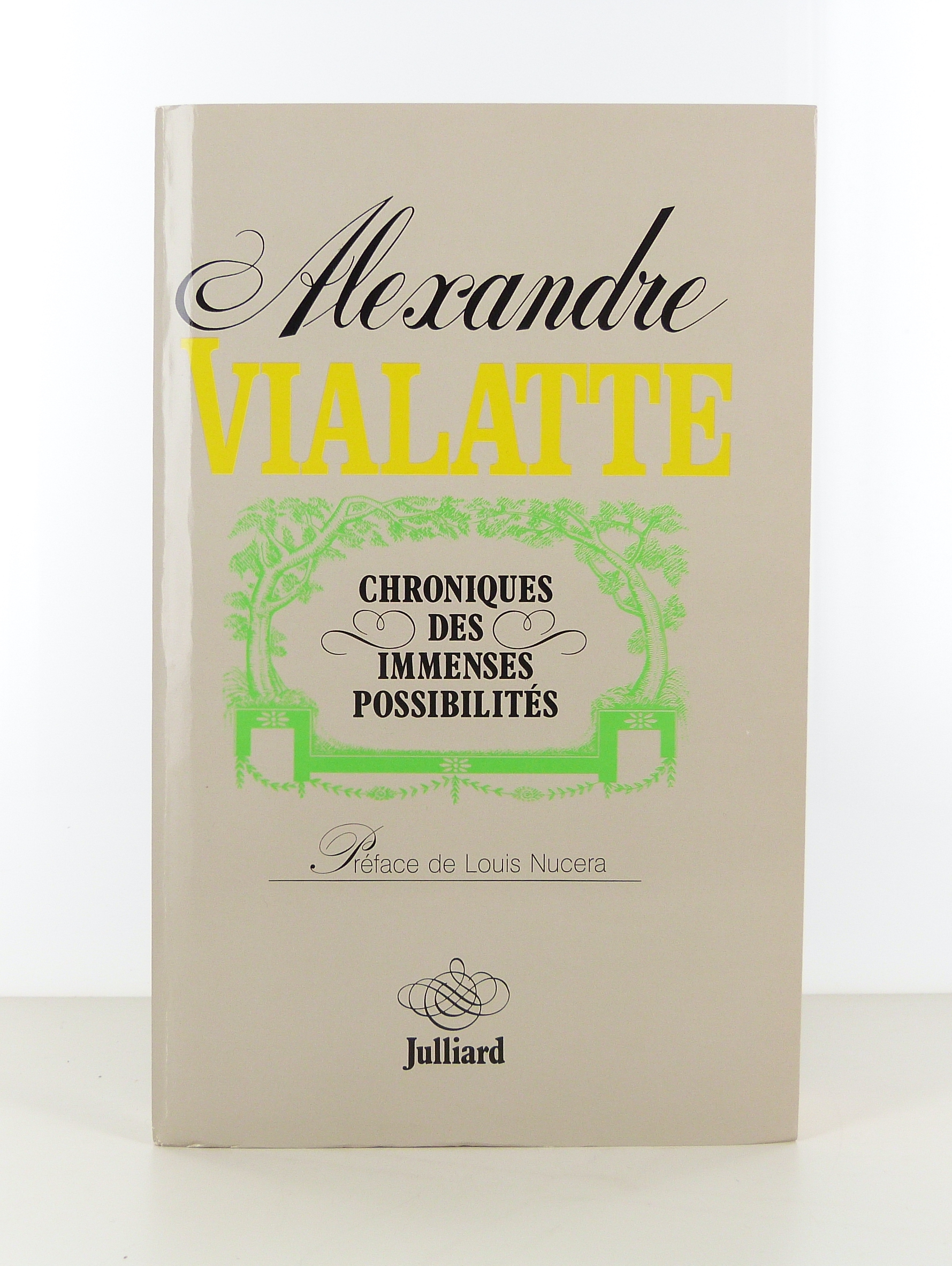 Chroniques des immenses possibilités